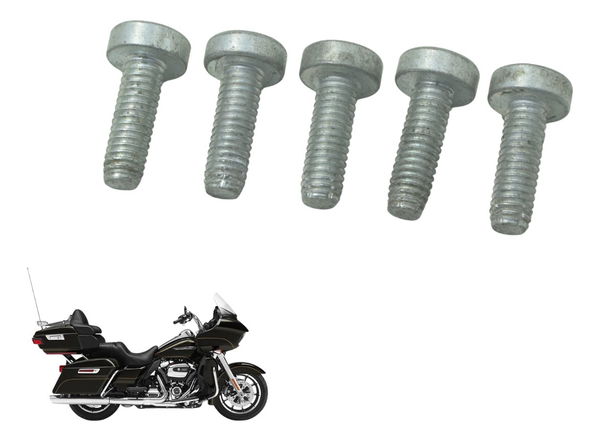 Jogo Parafuso Espada Harley Road Glide Touring 17-19 Orig