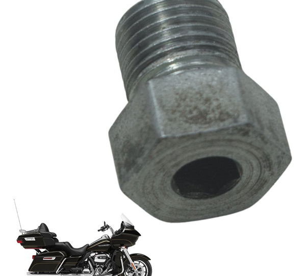 Parafuso Bujão Primária Harley Road Glide Touring 17-19 Orig