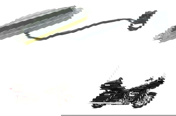 Luz Placa Harley Road Glide Touring 17-19 Original