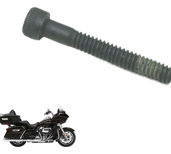 Parafuso Estator Harley Road Glide Touring 17-19 Original