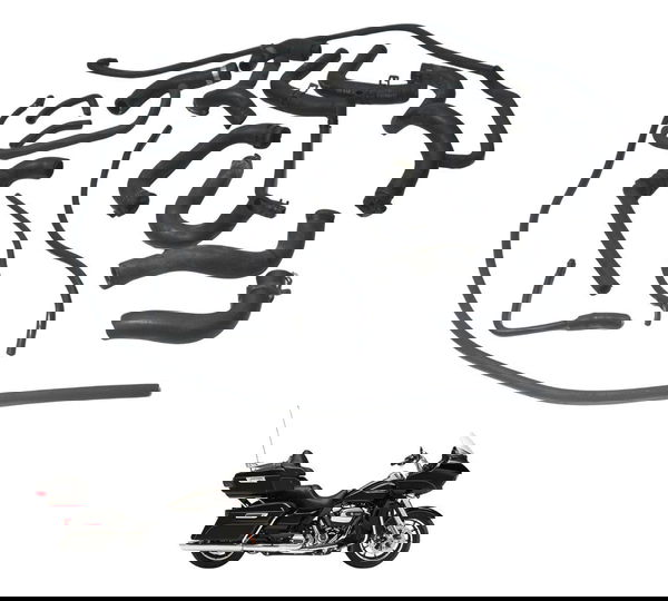 Kit Mangueiras Harley Road Glide Touring 17-19 Original