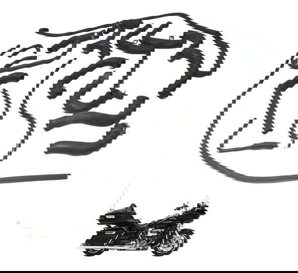 Kit Mangueiras Harley Road Glide Touring 17-19 Original