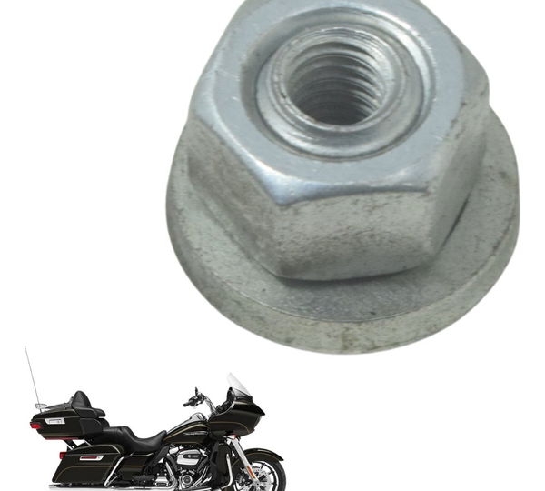 Porca Paralama Tras Harley Road Glide Touring 17-19 Orig