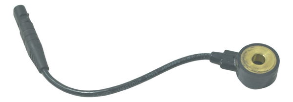 Sensor Detonação Harley Road Glide Touring 17-19 Original