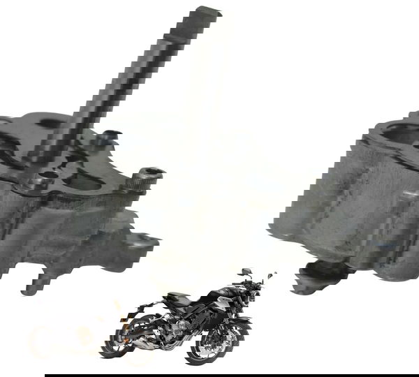 Bomba Óleo Honda Cb 650 R 20-24 Original