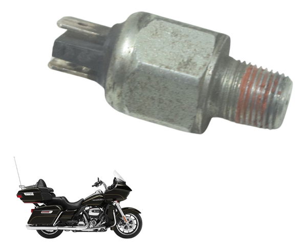 Interruptor Freio Tras Harley Road Glide Touring 17-19 Orig