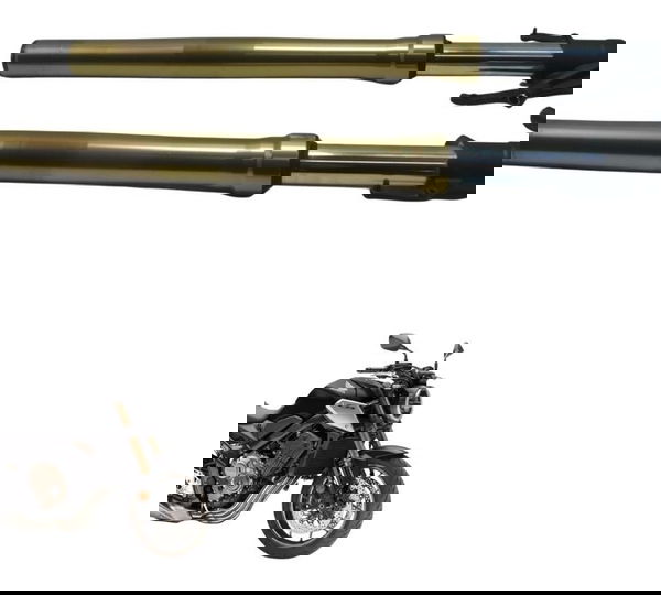 Par Bengala Honda Cb 650 R 20-24 Original