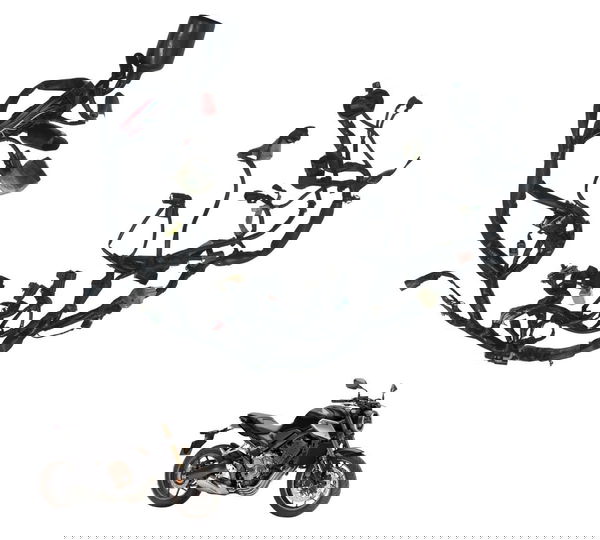 Chicote Principal Honda Cb 650 R 20-24 Original