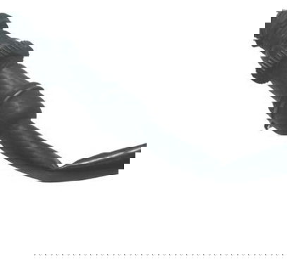 Interruptor Freio Traseiro Honda Nx 400i Falcon 13-15 Origin