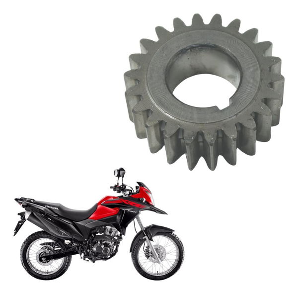 Engrenagem Motor Honda Xre 190 19-24 Original