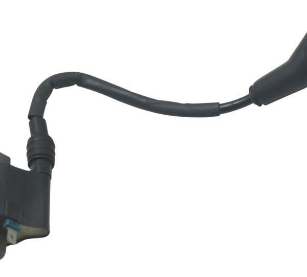 Bobina Ignição Honda Xre 190 19-24 Original