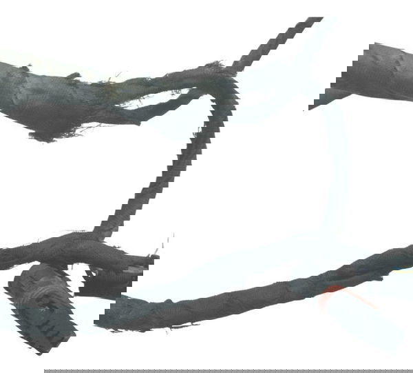 Chicote Secundário Bmw F 800 Gs 13-16 Original