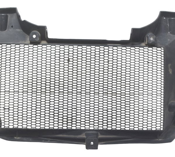 Grade Proteção Radiador Bmw F 800 Gs 13-16 Original