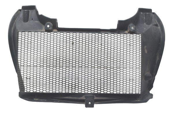Grade Proteção Radiador Bmw F 800 Gs 13-16 Original