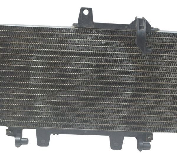 Radiador C/ Detalhes Bmw F 800 Gs 13-16 Original