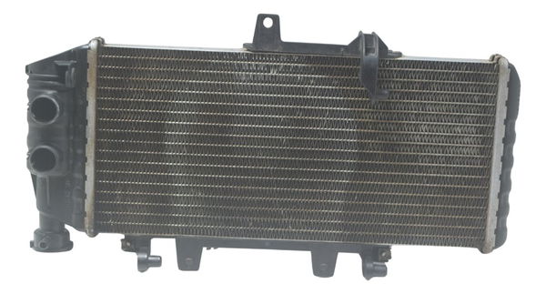 Radiador C/ Detalhes Bmw F 800 Gs 13-16 Original