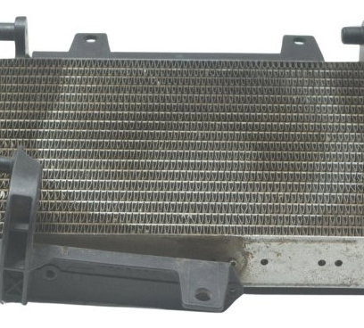 Radiador C/ Detalhes Bmw F 800 Gs 13-16 Original