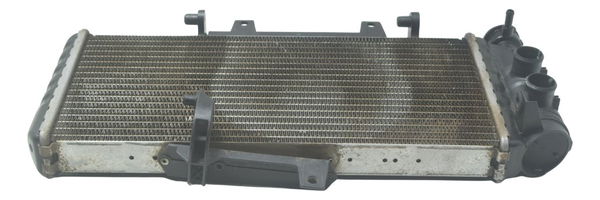 Radiador C/ Detalhes Bmw F 800 Gs 13-16 Original