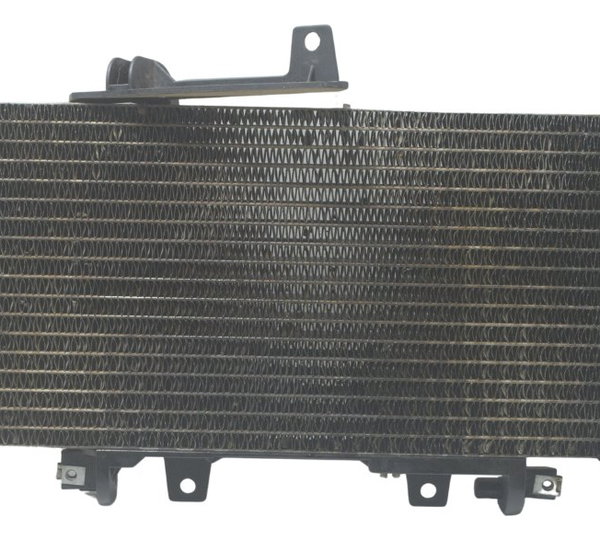 Radiador C/ Detalhes Bmw F 800 Gs 13-16 Original