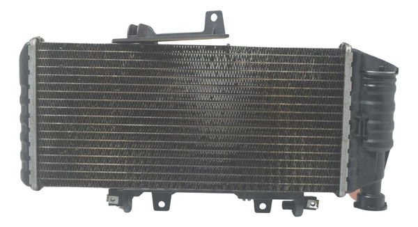 Radiador C/ Detalhes Bmw F 800 Gs 13-16 Original