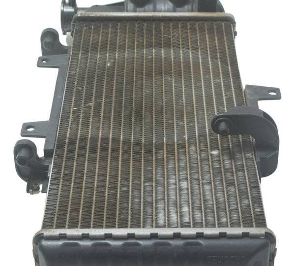 Radiador C/ Detalhes Bmw F 800 Gs 13-16 Original