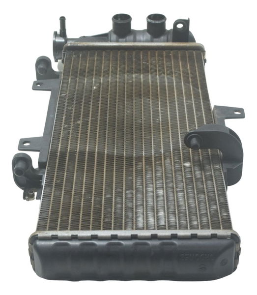 Radiador C/ Detalhes Bmw F 800 Gs 13-16 Original