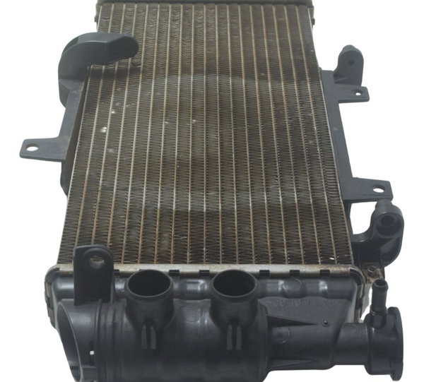 Radiador C/ Detalhes Bmw F 800 Gs 13-16 Original