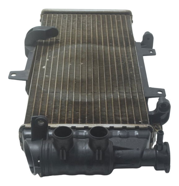 Radiador C/ Detalhes Bmw F 800 Gs 13-16 Original