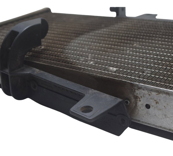 Radiador C/ Detalhes Bmw F 800 Gs 13-16 Original