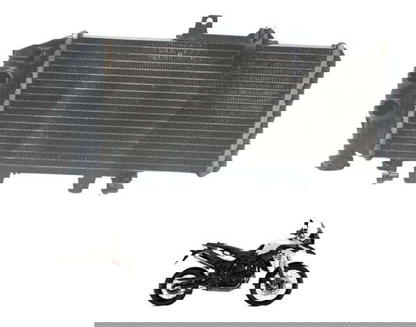 Radiador C/ Detalhes Bmw F 800 Gs 13-16 Original