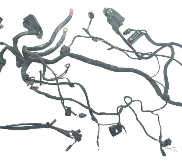 Chicote Principal C/ Avaria Bmw F 800 Gs 13-16 Original