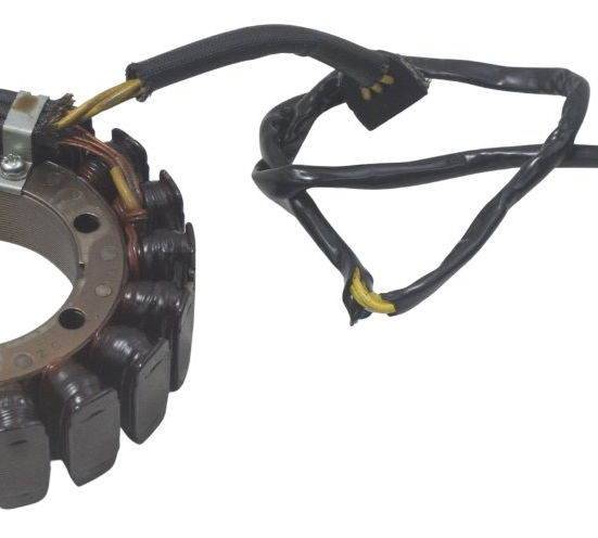 Estator Bmw F 800 Gs 13-16 Original