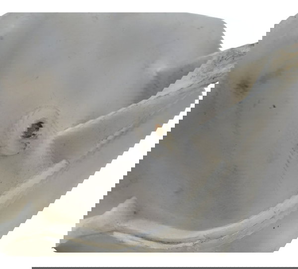 Reservatório Água C/ Avaria Bmw F 800 Gs 13-16 Original