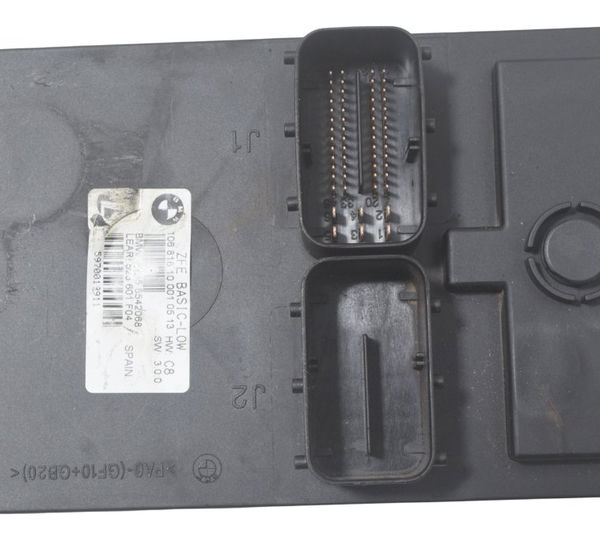 Modulo Zfe Bmw F 800 Gs 13-16 Original