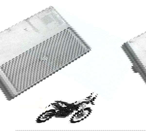 Modulo Zfe Bmw F 800 Gs 13-16 Original