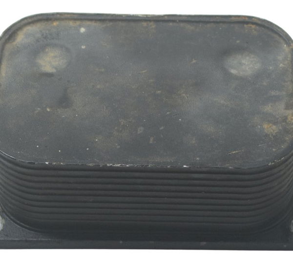 Resfriador Óleo Bmw F 800 Gs 13-16 Original