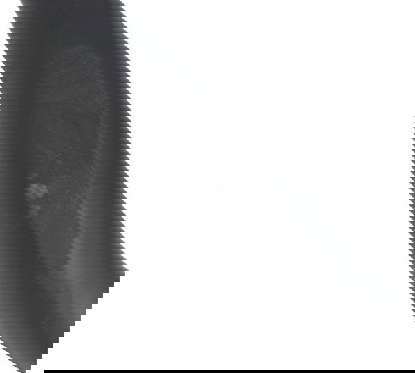 Protetor Motor C/detalhes Bmw F800 Gs 09-12 Original