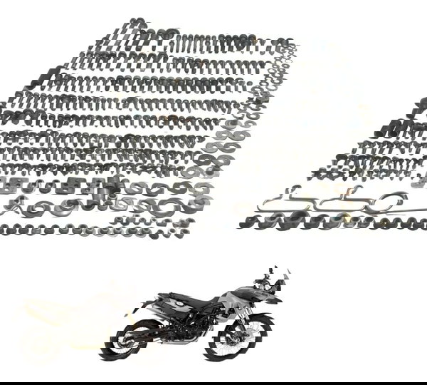 Kit Parafusos Diversos Bmw F800 Gs 09-12 Original