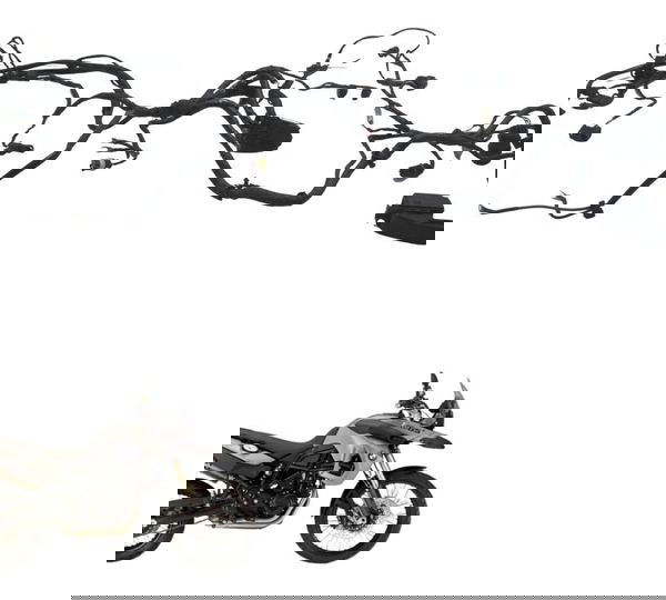 Chicote Principal Bmw F800 Gs 09-12 Original