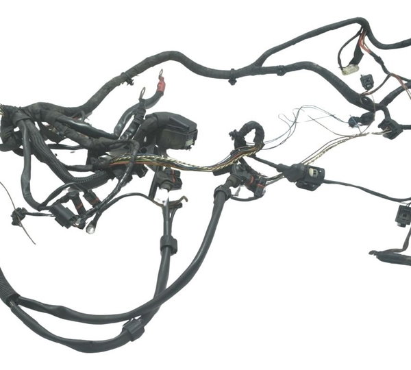 Chicote Principal C/avaria Bmw F800 Gs 09-12 Original