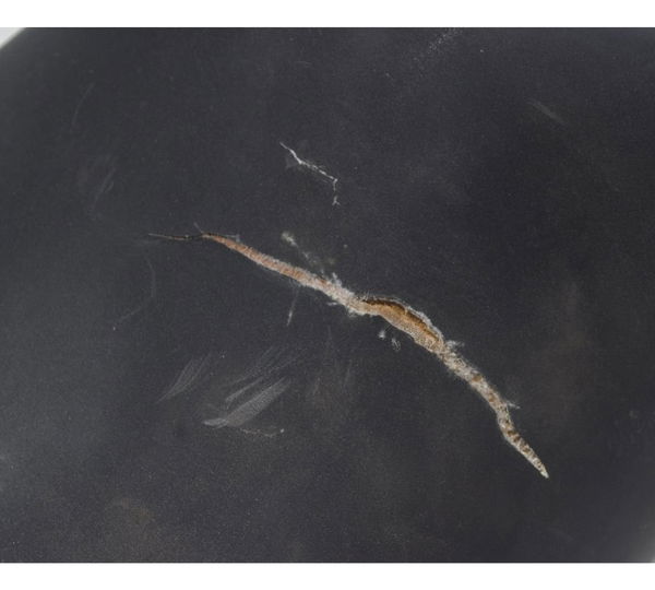 Banco Dianteiro Com Avaria Kawasaki Ninja 300 13-18 Original