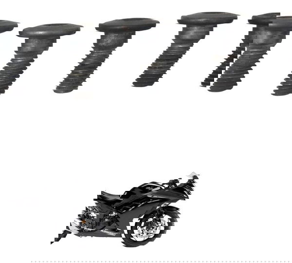 Kit Parafuso Freio Diant Kawasaki Ninja 300 13-18 Original