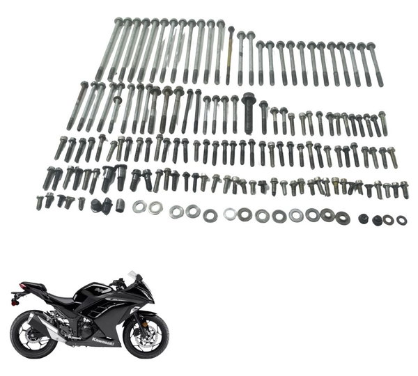 Kit Parafuso Motor Kawasaki Ninja 300 13-18 Original