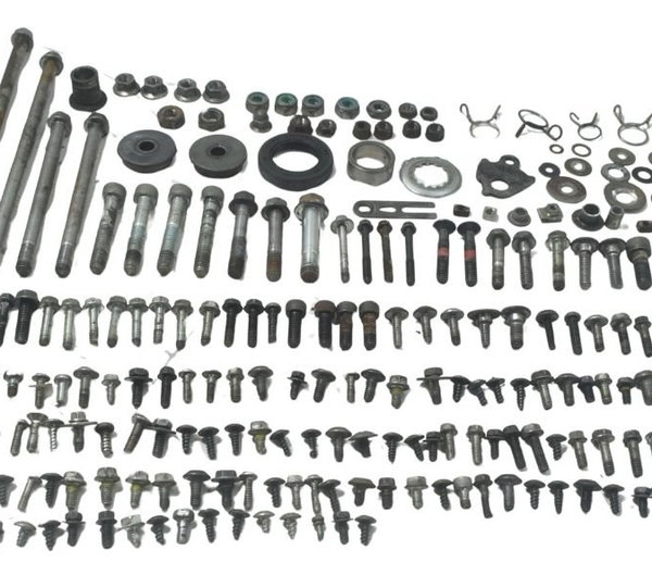 Kit Parafusos Diversos Kawasaki Ninja 300 13-18 Original