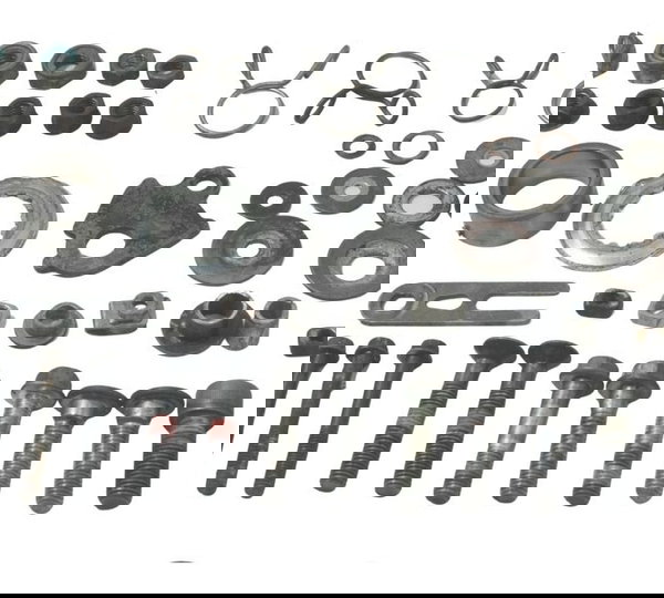 Kit Parafusos Diversos Kawasaki Ninja 300 13-18 Original