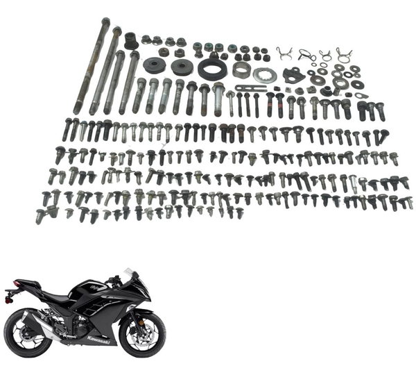 Kit Parafusos Diversos Kawasaki Ninja 300 13-18 Original