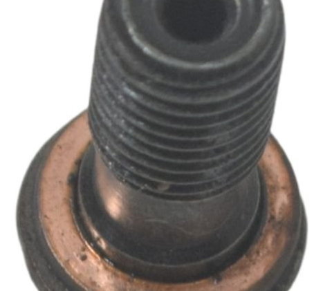 Parafuso Óleo Kawasaki Ninja 300 13-18 Original