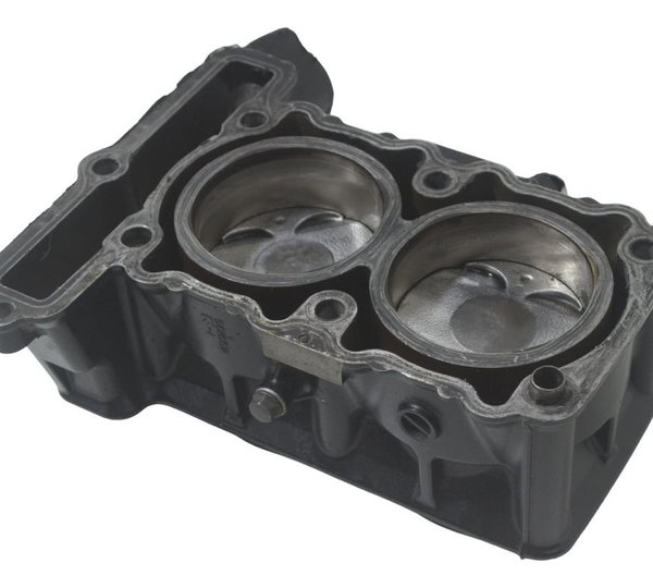 Cilindro Pistão Anéis Kawasaki Ninja 300 13-18 Original