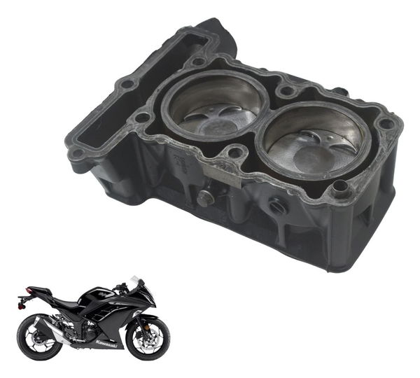 Cilindro Pistão Anéis Kawasaki Ninja 300 13-18 Original