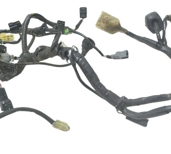 Chicote Principal Kawasaki Ninja 300 13-18 Original